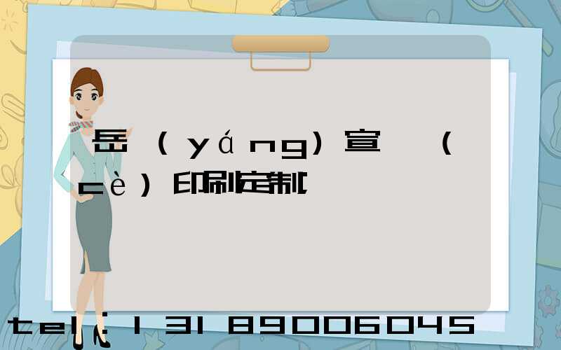岳陽(yáng)宣傳冊(cè)印刷定制