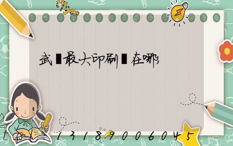 武漢最大印刷廠在哪