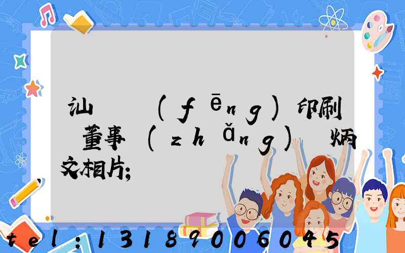 汕頭東風(fēng)印刷廠董事長(zhǎng)黃炳文相片